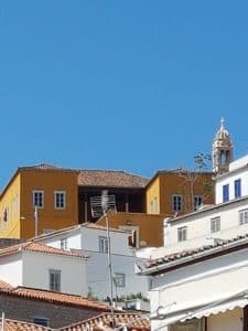 Hydra