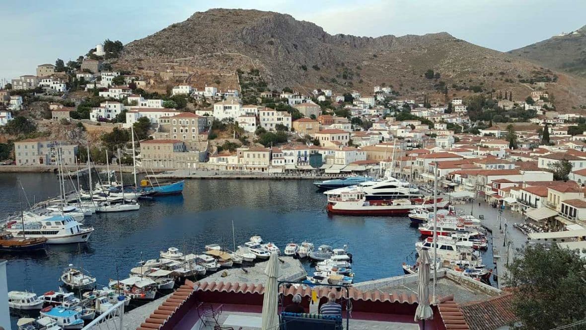 Hydra
