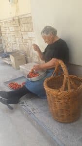 Sakız