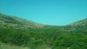 Sakız