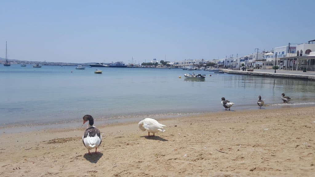 Antiparos
