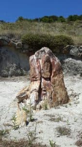 Midilli (Lesbos)