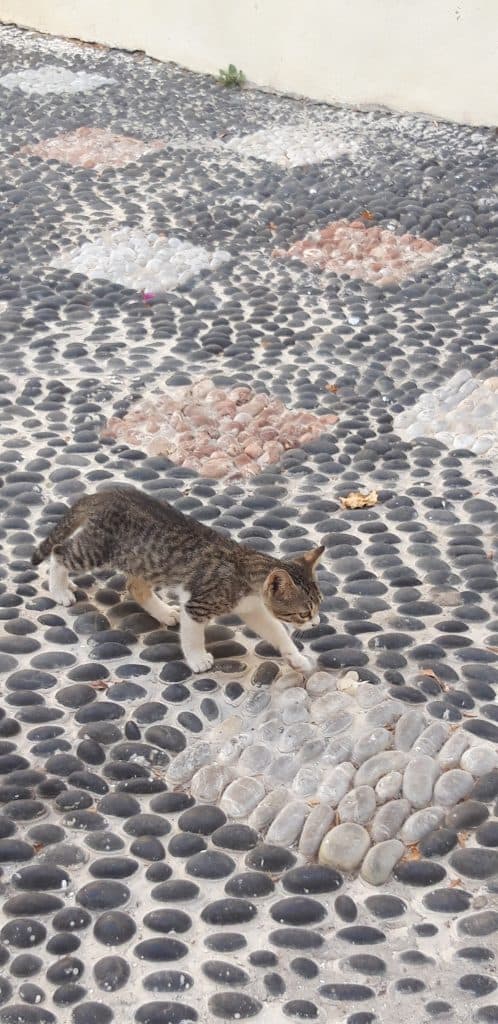 Nisyros